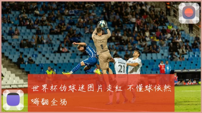 世界杯伪球迷图片走红 不懂球依然嗨翻全场