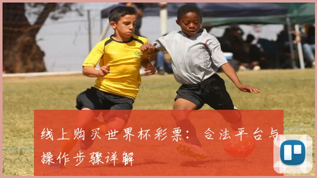 线上购买世界杯彩票：合法平台与操作步骤详解