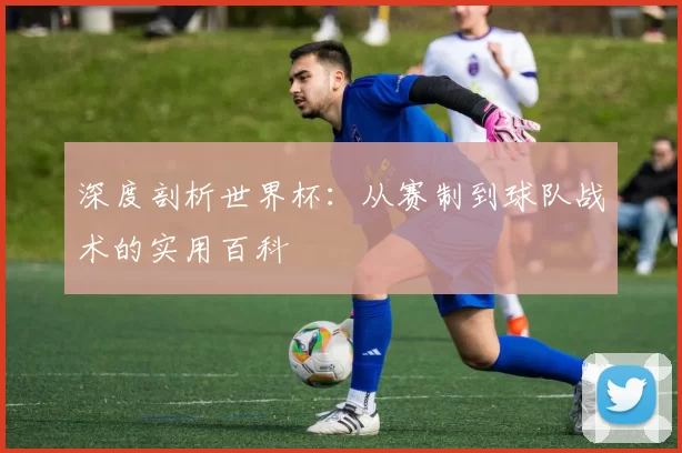 深度剖析世界杯:从赛制到球队战术的实用百科