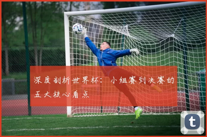 深度剖析世界杯：小组赛到决赛的五大核心看点