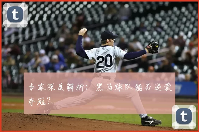 专家深度解析：黑马球队能否逆袭夺冠？