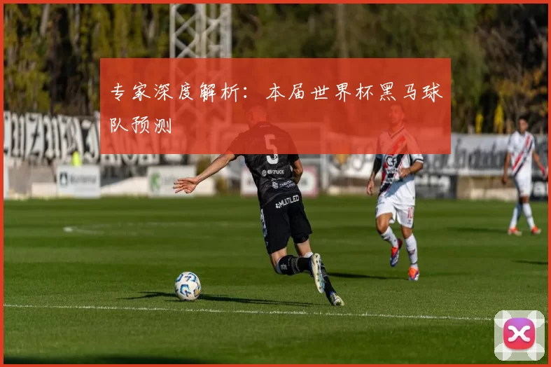 专家深度解析:本届世界杯黑马球队预测