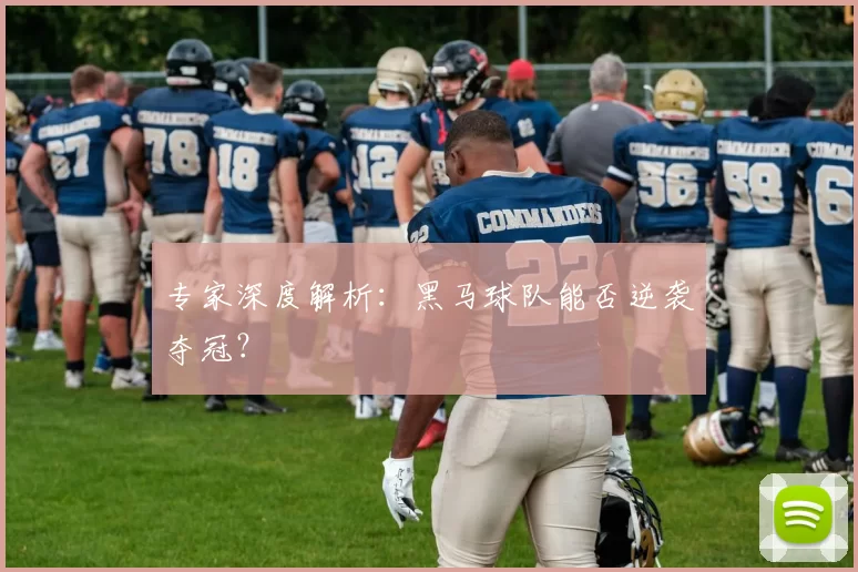 专家深度解析：黑马球队能否逆袭夺冠？