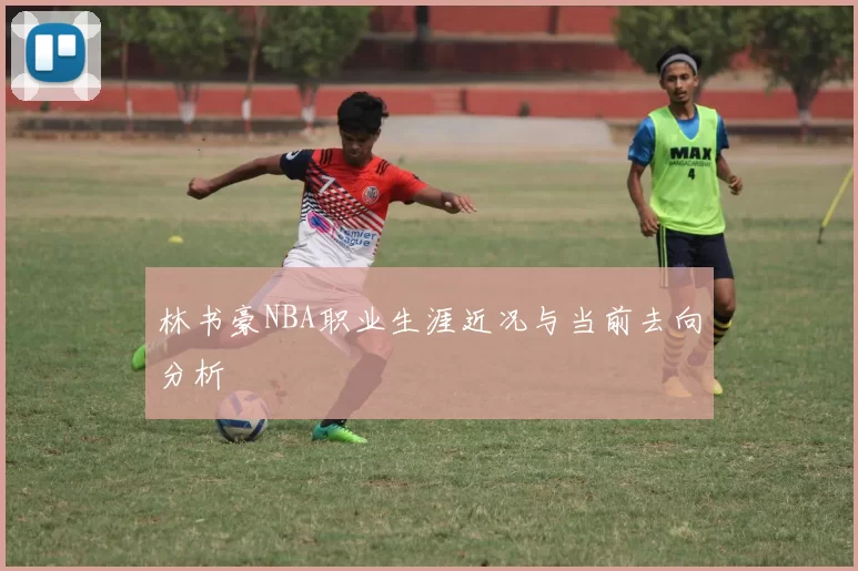 林书豪NBA职业生涯近况与当前去向分析