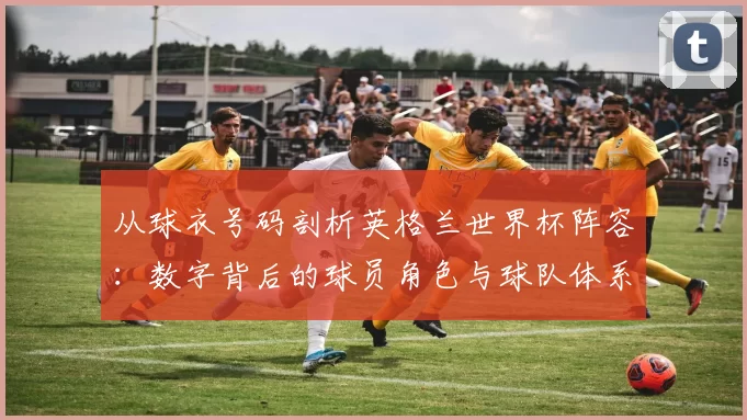 从球衣号码剖析英格兰世界杯阵容：数字背后的球员角色与球队体系