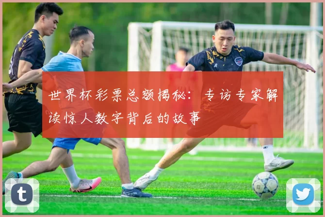 世界杯彩票总额揭秘:专访专家解读惊人数字背后的故事