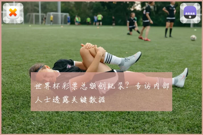 世界杯彩票总额创纪录?专访内部人士透露关键数据