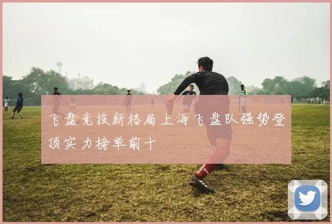 飞盘竞技新格局上海飞盘队强势登顶实力榜单前十