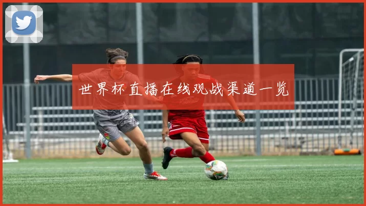 世界杯直播在线观战渠道一览