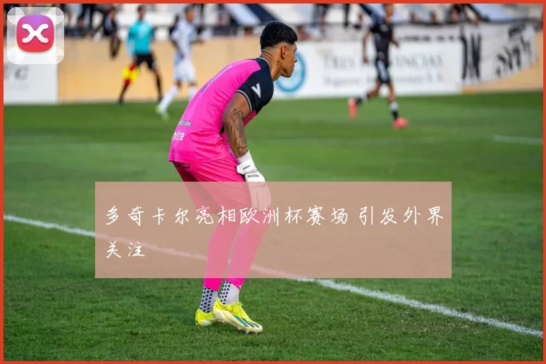 多奇卡尔亮相欧洲杯赛场 引发外界关注