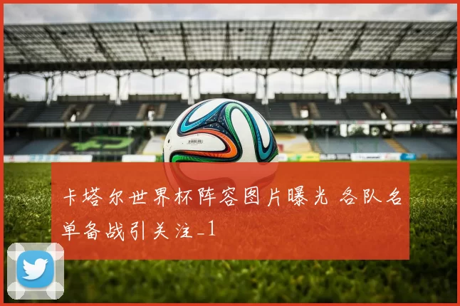 卡塔尔世界杯阵容图片曝光 各队名单备战引关注_1