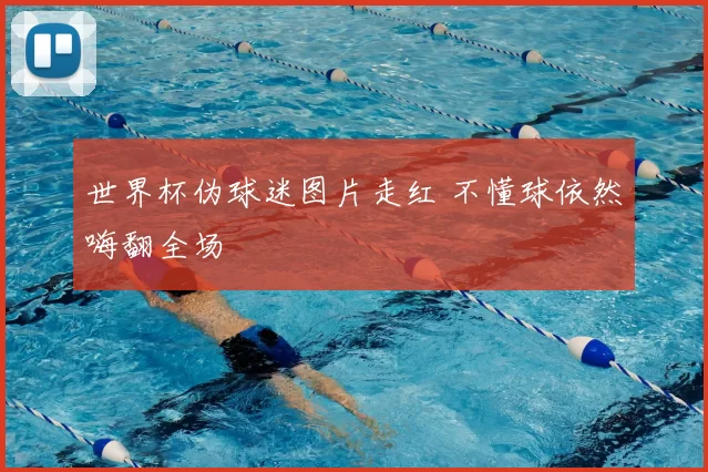 世界杯伪球迷图片走红 不懂球依然嗨翻全场