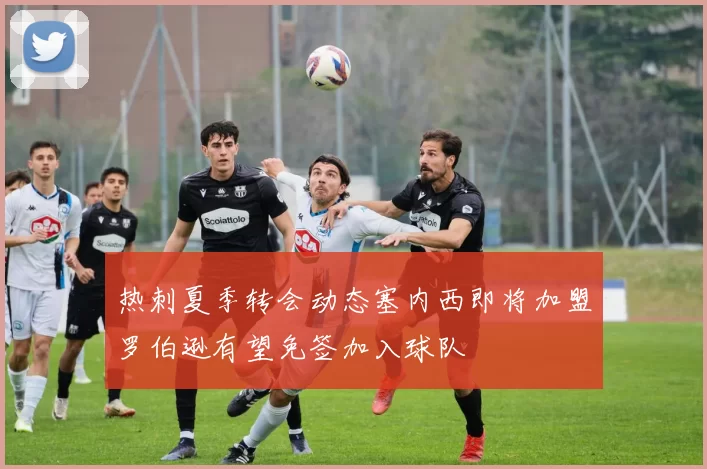 热刺夏季转会动态塞内西即将加盟罗伯逊有望免签加入球队