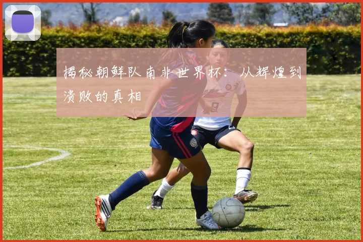 揭秘朝鲜队南非世界杯：从辉煌到溃败的真相