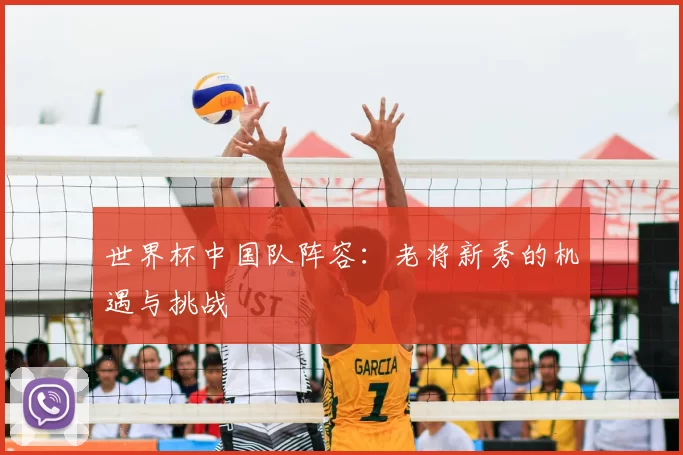 世界杯中国队阵容:老将新秀的机遇与挑战