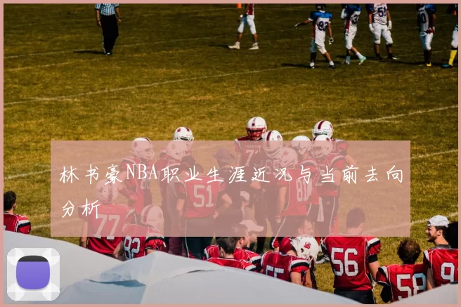林书豪NBA职业生涯近况与当前去向分析