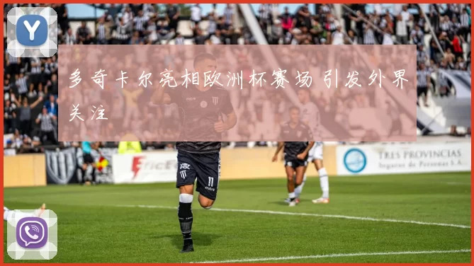 多奇卡尔亮相欧洲杯赛场 引发外界关注